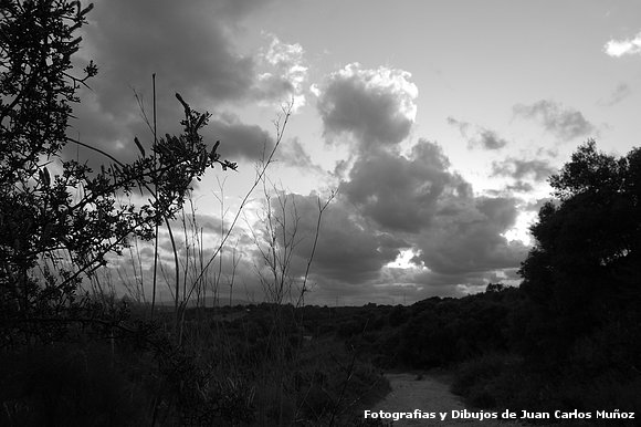 paisaje sanroqueño