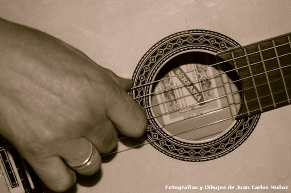 Guitarra Flamenca