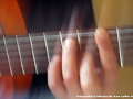 Pasi&oacute;n Flamenca II