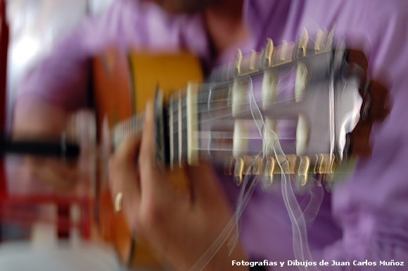 Pasión flamenca III