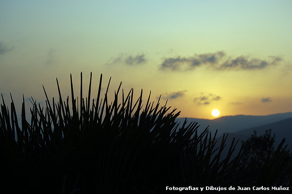 momento de soledad
