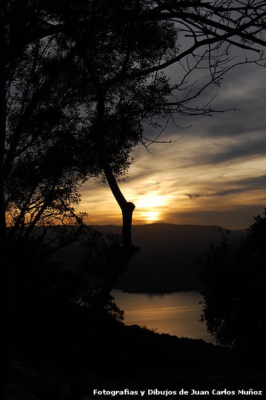 PRIMEROS  ATARDECERES