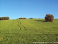 olor a primavera