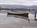 Dibujos , Pinturas y fotos de Juan Carlos Mu&ntilde;oz