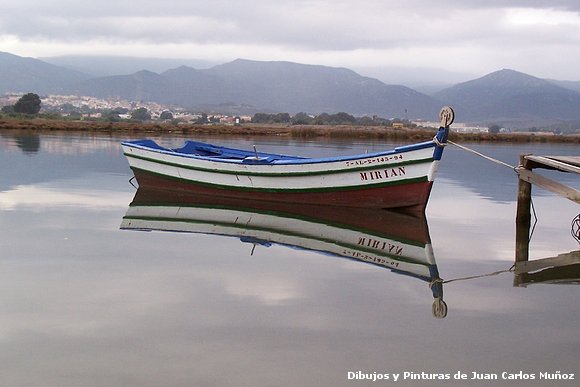 Dibujos , Pinturas y fotos de Juan Carlos Muñoz
