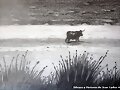 Dibujos , Pinturas y fotos de Juan Carlos Mu&ntilde;oz