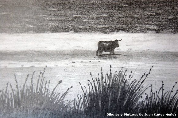 Dibujos , Pinturas y fotos de Juan Carlos Muñoz