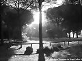 amanecer Pinar del Rey