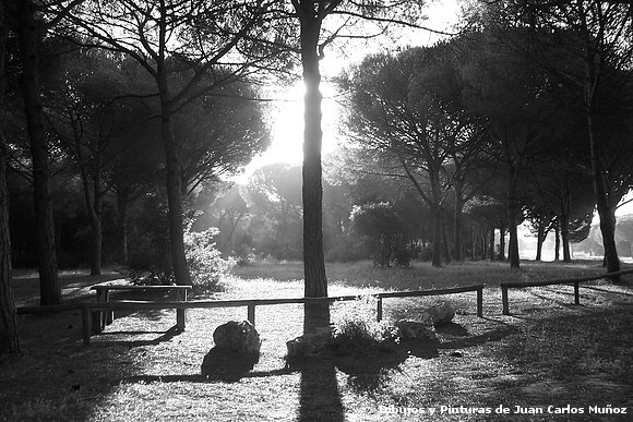 amanecer Pinar del Rey