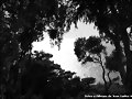 entre el mediterraneo y el atlantico