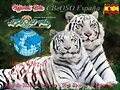 QSL Radioenlace CANTUR - 02-27Mhz-R