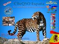 QSL Radio Enlace 02-27Mhz-R