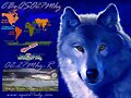QSL Radioenlace 02-27Mhz - R