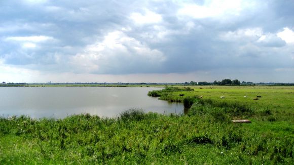 Lago Ijsselmees