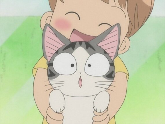 Chi's sweet home ~ Atarashii Ouchi ~ 71
