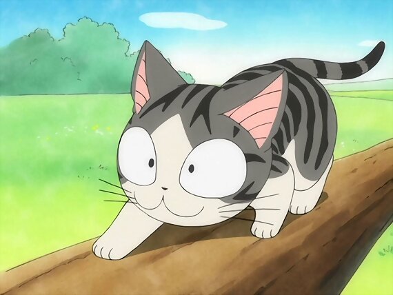 Chi's sweet home ~ Atarashii Ouchi ~ 79