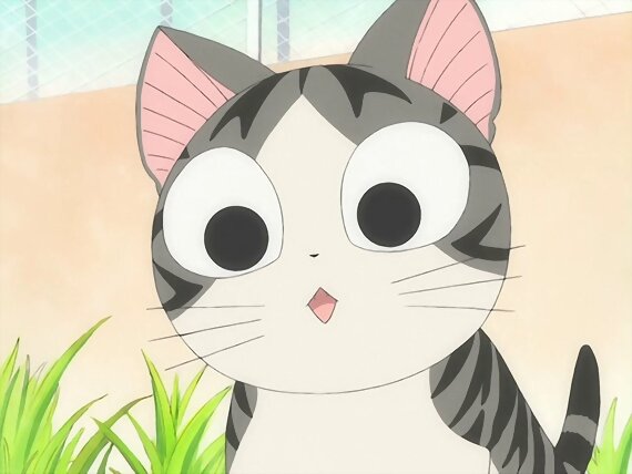 Chi's sweet home ~ Atarashii Ouchi ~ 93