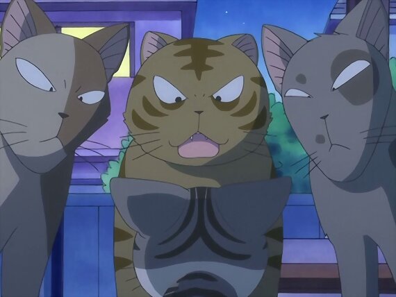 Chi's sweet home ~ Atarashii Ouchi ~ 95
