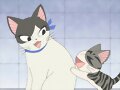 Chi&#039;s sweet home ~ Atarashii Ouchi ~ 97