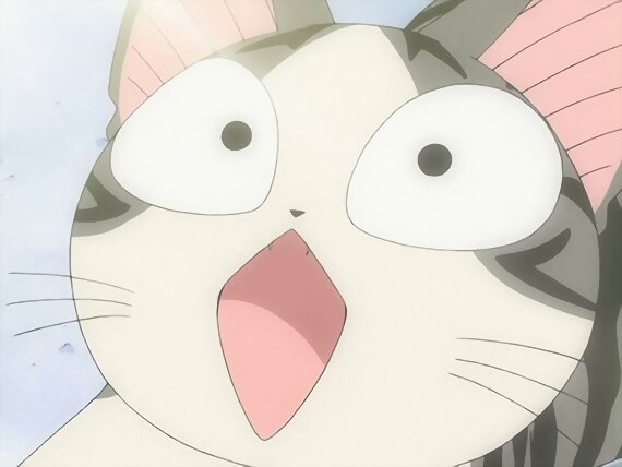 Chi's sweet home ~ Atarashii Ouchi ~ 100