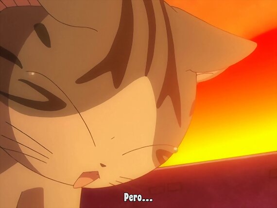 Chi's sweet home ~ Atarashii Ouchi ~ 102