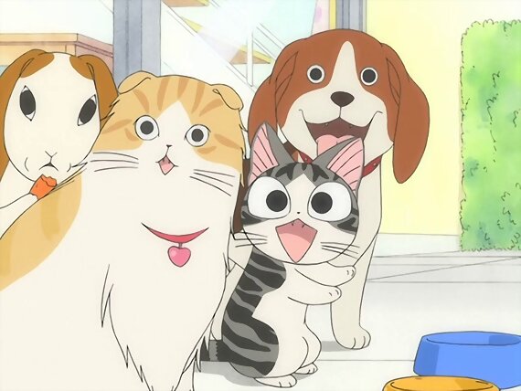 Chi's sweet home ~ Atarashii Ouchi ~ 104 [FIN]