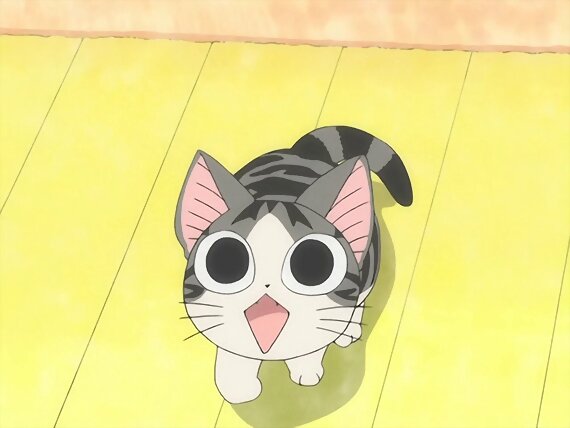 Chi's sweet home ~ Atarashii Ouchi ~ 61