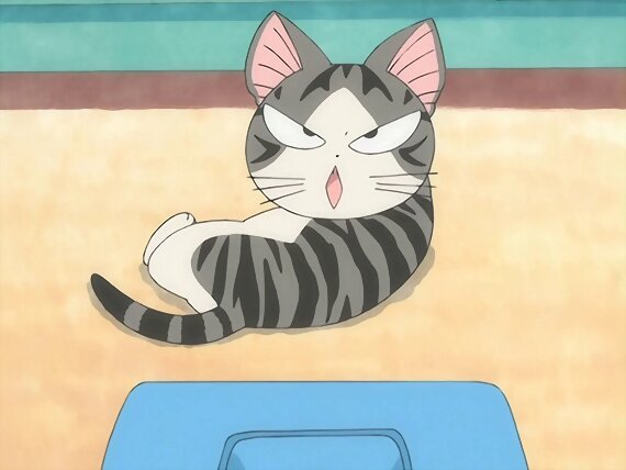Chi's sweet home ~ Atarashii Ouchi ~ 62