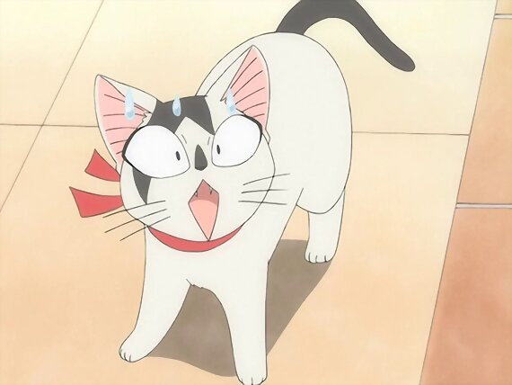 Chi's sweet home ~ Atarashii Ouchi ~ 65