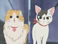 Chi&#039;s sweet home ~ Atarashii Ouchi ~ 66
