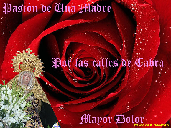 Mayor Dolor ( Cabra)