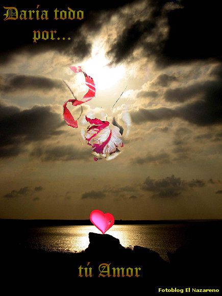 Amor lejano