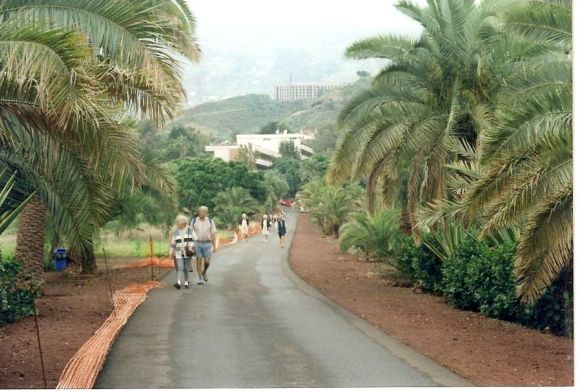Camino de la Sortija