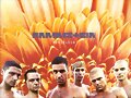 .:Rammstein:.