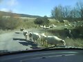 Por el camino voy...