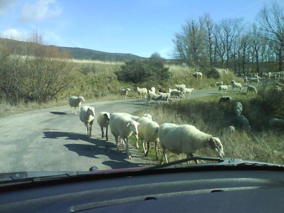 Por el camino voy...