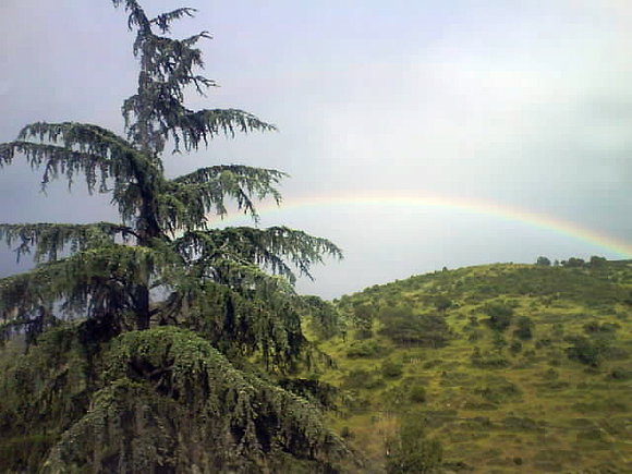 ARCOIRIS COMPLETO!