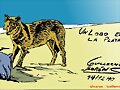 Un lobo en la playa