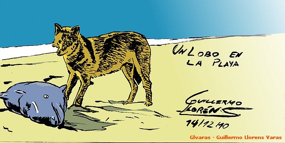 Un lobo en la playa