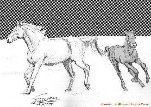 Estudio sobre caballos 2