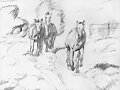 Estudio sobre caballos 5