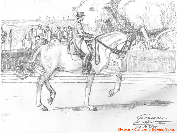 Estudio sobre caballos 8