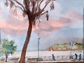 Arbol enfermo en el N&aacute;utico