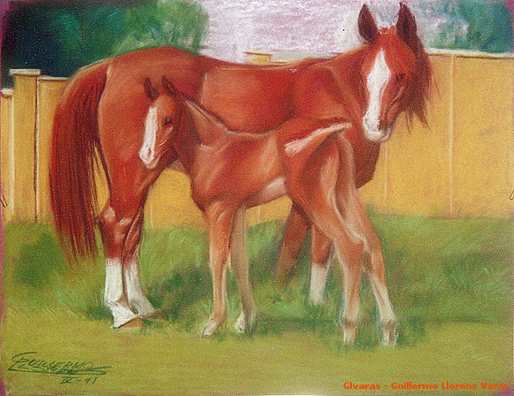 Caballo y potro