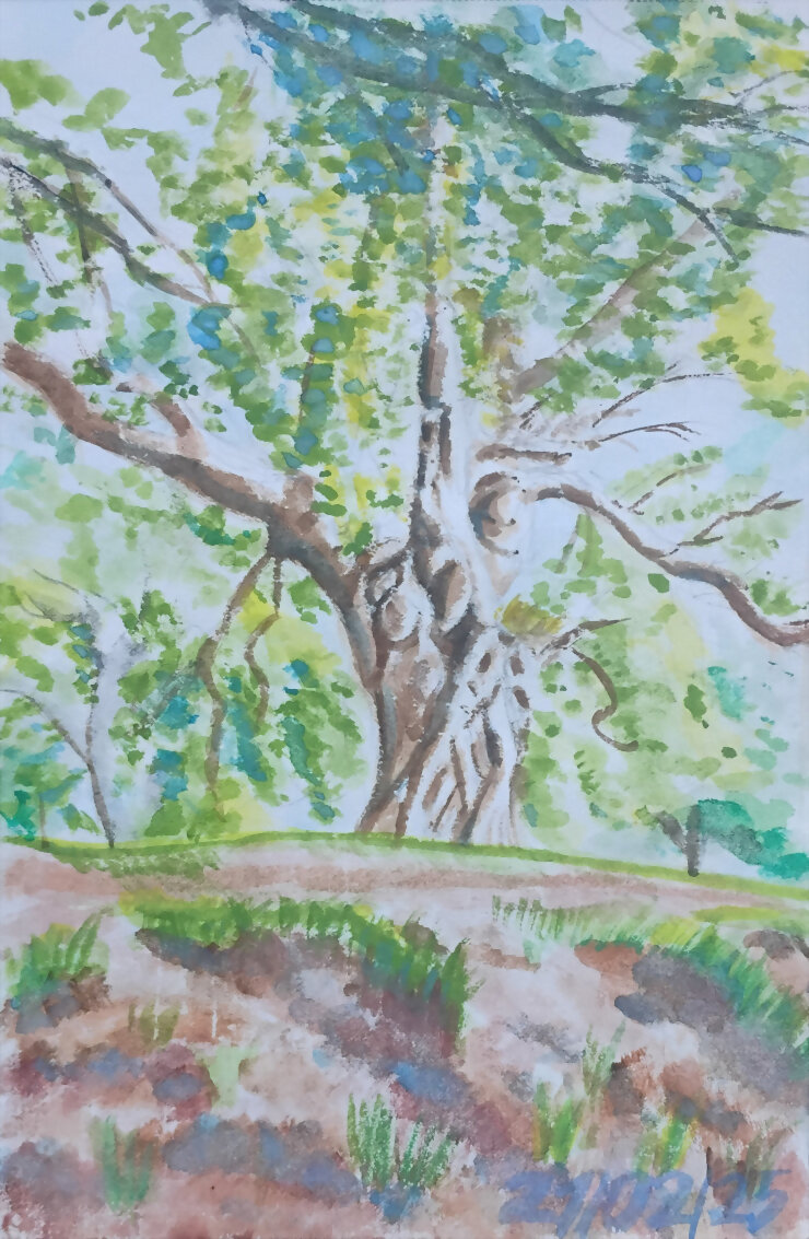 En la Carbayera del Tragamón