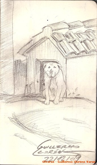 Cuaderno de campo: "Sultán" en Casa Aurelio
