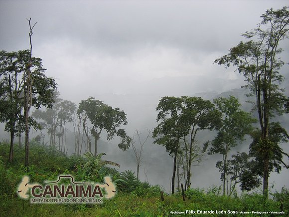 Fondo Canaima V2