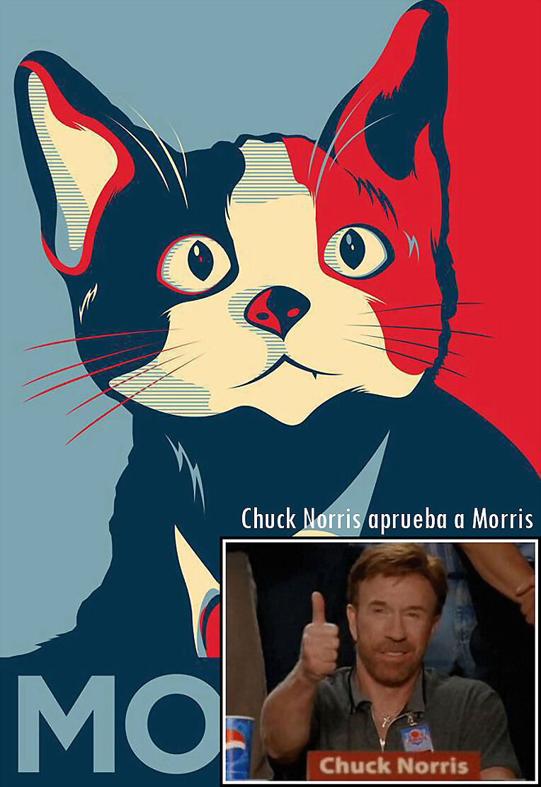 Chuck Norris apoya al candigato Morris