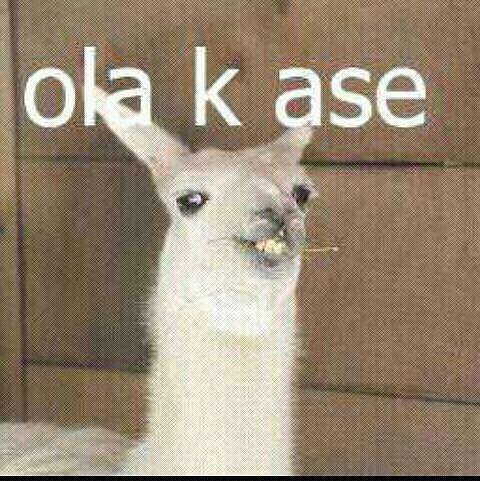 quien invento el mentado "Ola k ase!"?