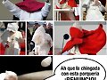 La verdadera razon de la renuncia de Benedicto XVI
